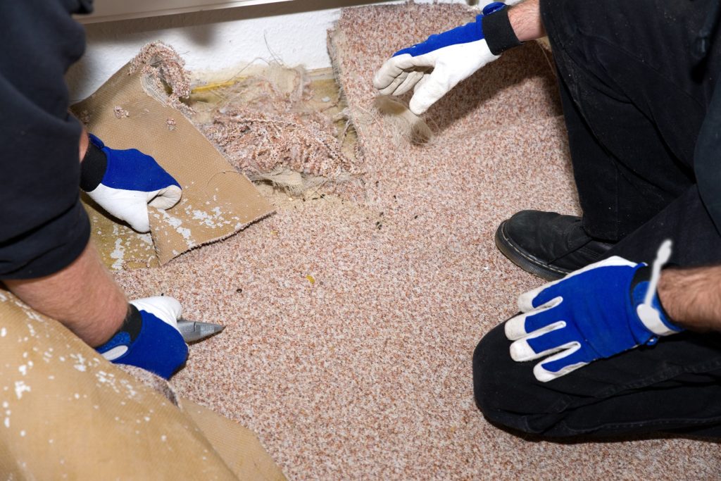 two people remove carpet