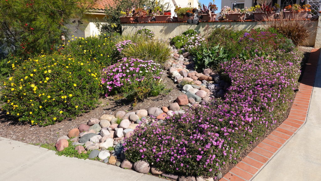 Beautiful low-water landscaping, including rocks, bushes, and other plants in front of an El Paso home.